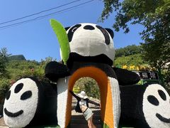 -栾川竹海野生动物园