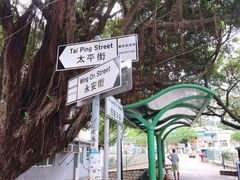 -大澳