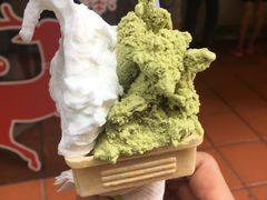 -柠檬车露(卖草地店)