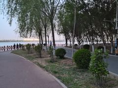 -丁香湖公园