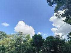 -莲花山公园