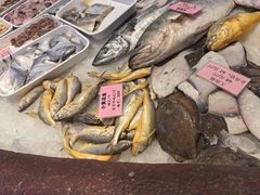 -山东八大碗山东老字号