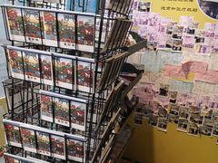 -猫咪博物馆(顶澳仔猫街店)