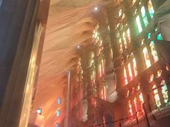 -瓦伦西亚大教堂