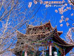 -青城公园