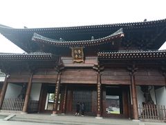 -九龙湖公园