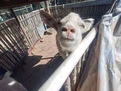 -天毓山庄·餐厅