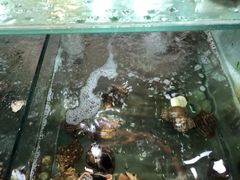 -四海鲜渔家菜(黄金海岸店)