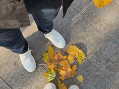 -森林公园(尖草坪区)