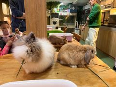 -藦茜花园宠物主题亲子互动体验馆(国顺东路店)