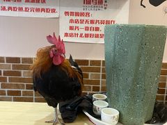 -重庆何乌鱼(南湖逸家店)