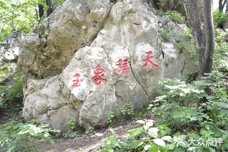 吊水壶国家森林公园图片