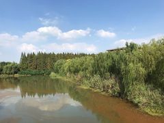 -南湖湿地公园