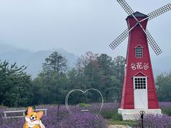 -名花谷生态庄园