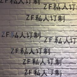 -Z.F私人订制