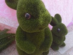 -天津津利华酒店