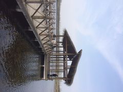 iphone_upload_pic-溱湖国家湿地公园