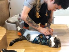 -啵啵喵·猫咖(攀华国际店)