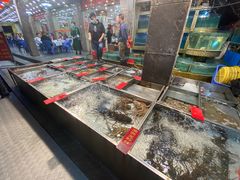 -湛江渔港·大排档(乐园路总店)
