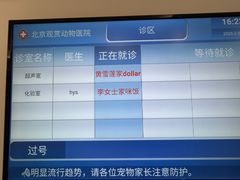 -北京观赏动物医院·24小时大型综合·猫专科·异宠专科