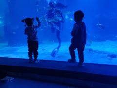 -石家庄海洋公园