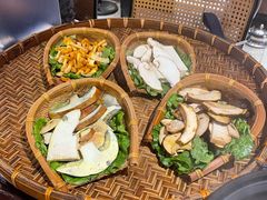 -滇野云南野生菌餐厅(陕西南路店)