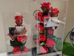 -ROSEONLY诺誓(磐基中心店)