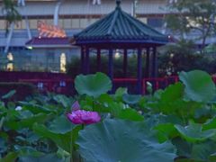 -纪念孙中山市政公园