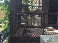 -昆明动物园