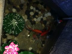 -老表记广西宵夜螺蛳鸭脚煲(西大店)
