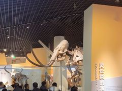 -国家自然博物馆