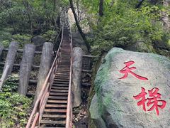 -茅兰沟国家森林公园