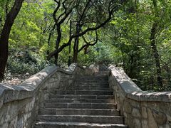 -千佛山风景名胜区