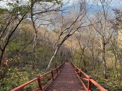 -白草畔自然风景区