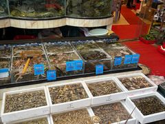 -揭阳钟记小食(福田新村店)