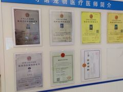 -守诺宠物医院·眼科· 特色牙科·异宠专科(虹口店)
