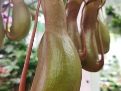 -三旗百汇商品城