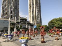 -荆川公园