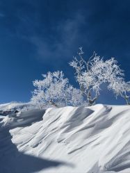 -大秃顶子山