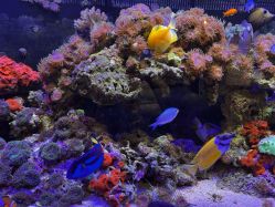 -Zoolung Zoolung动物主题公园(海信广场店)