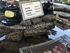 -观唐（国际）度假村温泉