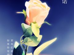 景观位-玛尚诺意式餐厅(天环广场店)