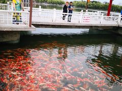 -长春市南湖公园