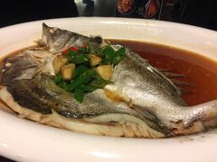 葱椒鲈鱼-绿茶餐厅(华联万柳店)