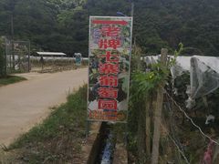 -七寨湖公园