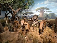 -陕西自然博物馆