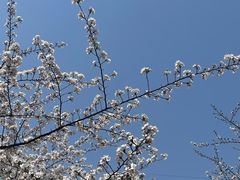 -西北湖绿化广场