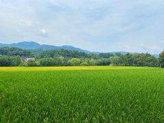 -韶山毛泽东同志故居