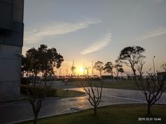 -南汇嘴观海公园