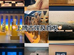 -上海博物馆